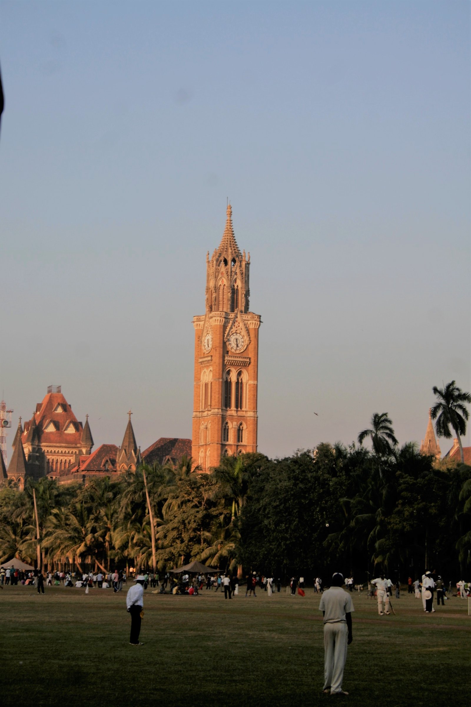 Mumbai Cricket Academy gallery image
